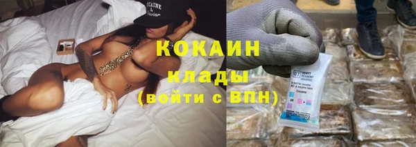 дживик Баксан